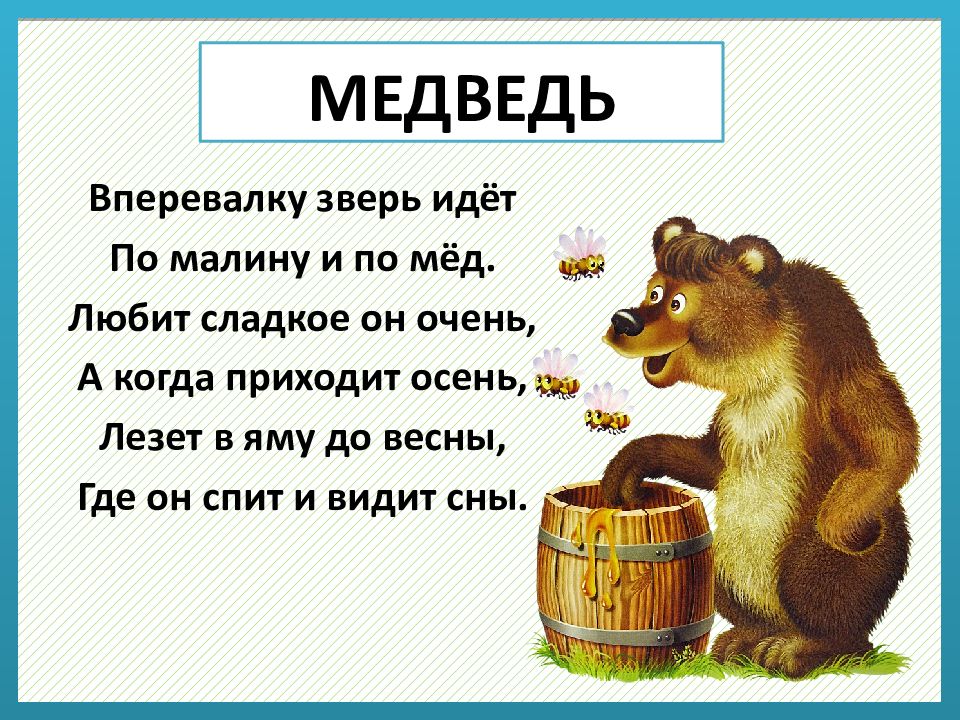 Загадка про медведя для детей