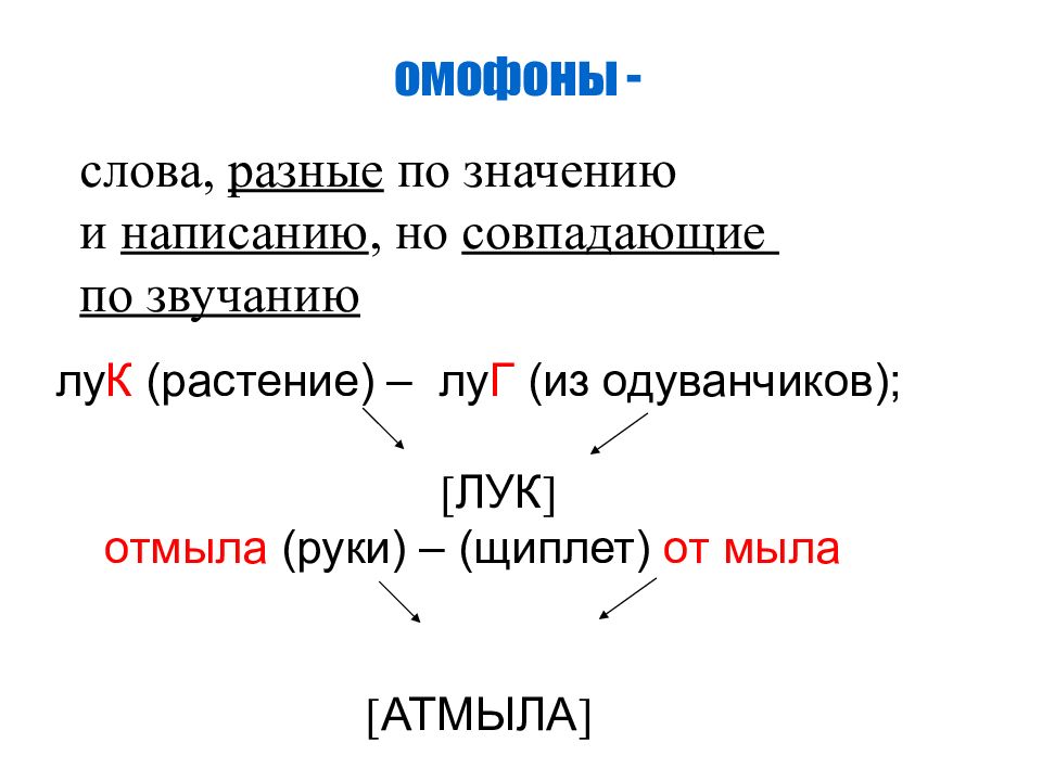 Синонимы антонимы омонимы паронимы