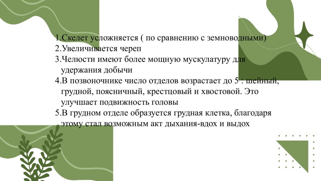 Общая характеристика пресмыкающихся