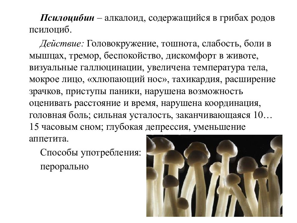 ✔️ Псилоцибин: что это, признаки и последствия употребления | Псилоцибиновые грибы