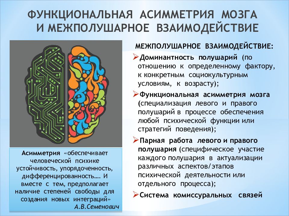 Функциональная асимметрия мозга картинки