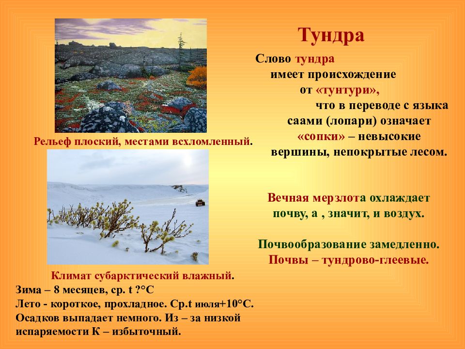 Слово тундра. Природные условия тундры. Тундра текст. Что означает слово тундра.