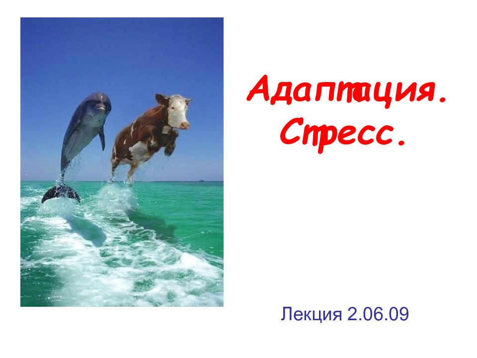 Адаптация. Стресс.
