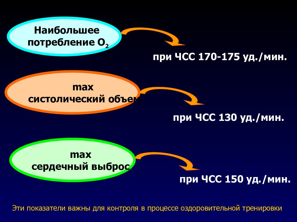 Леб система презентация