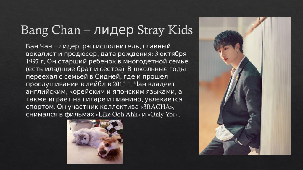 Перевод омегаверс стрей кидс. Stray Kids презентация. Презентация на тему Stray Kids.