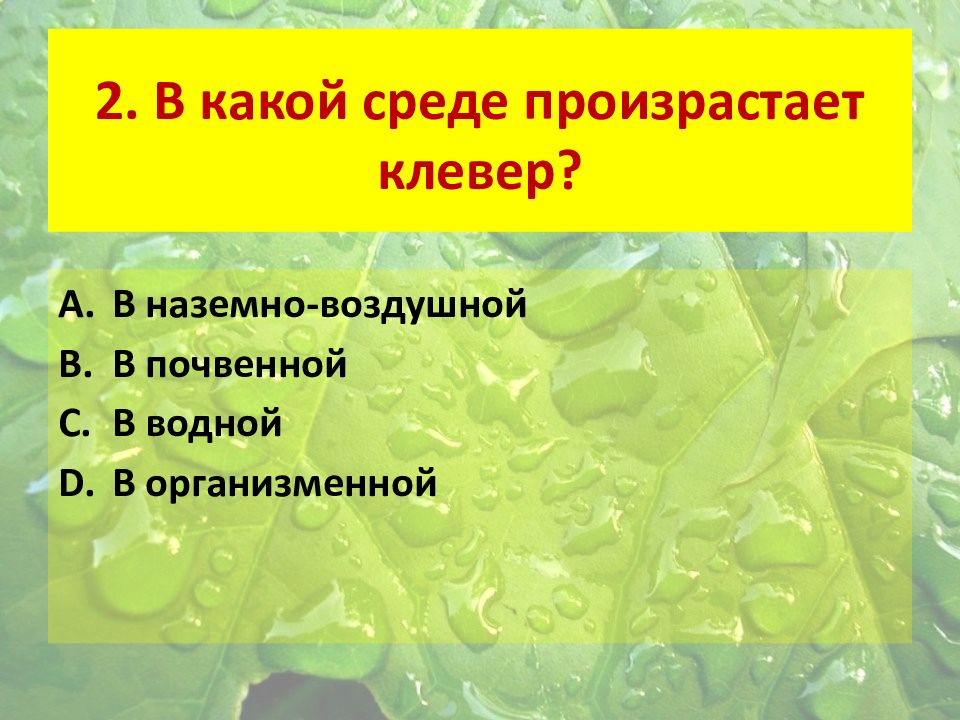 Среды обитания презентация 7 класс