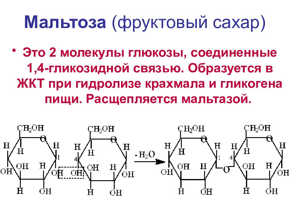 УГЛЕВОДЫ: функции и обмен Мальтоза (фруктовый сахар)