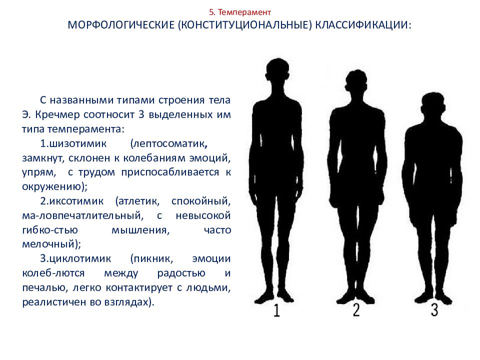 Как согласно типологии э кречмера называется тип строения тела человека на рисунке ниже