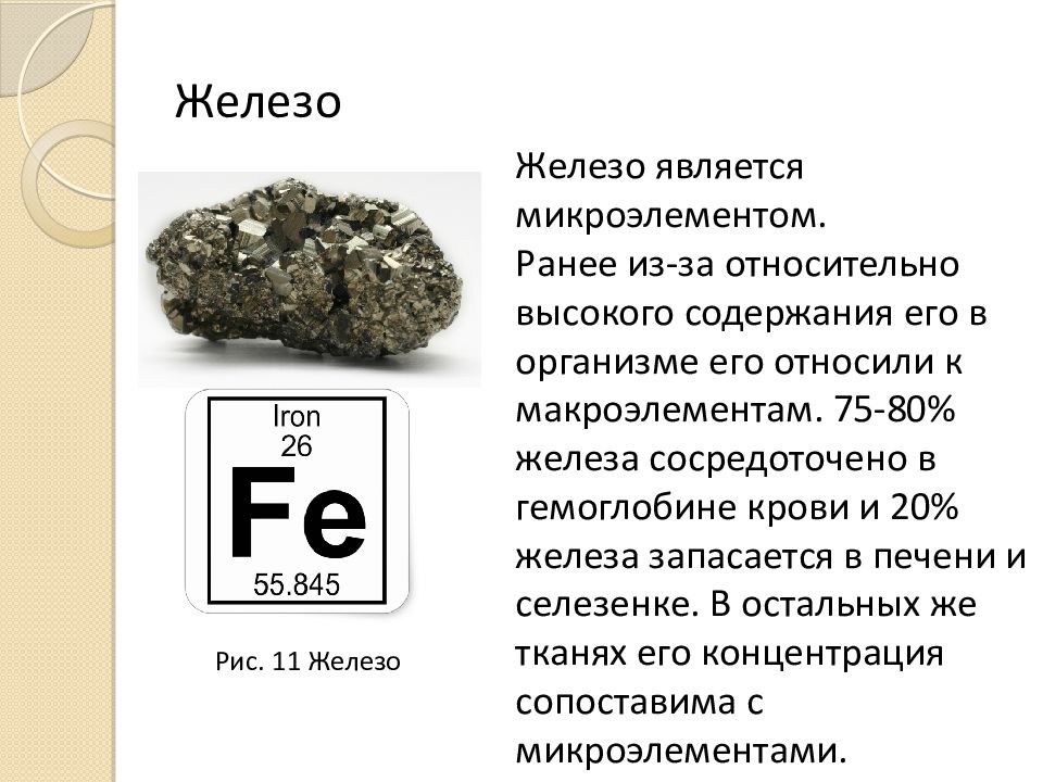 Металлы в природе биологическая роль металлов презентация