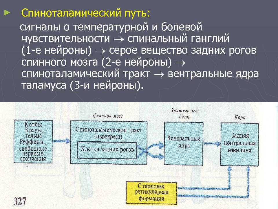 Сигнал путь