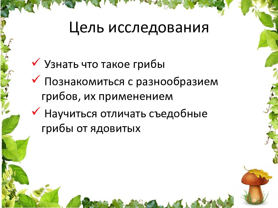 Исследовательская работа по биологии 6 класс готовые проекты грибы