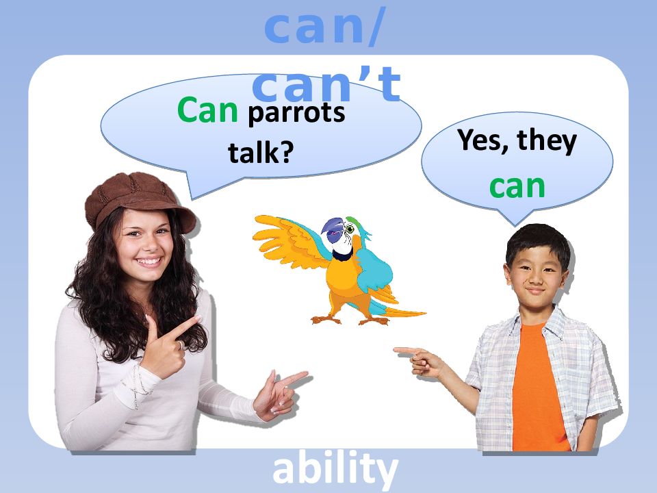 Talk yes. Can Parrots talk ответ на вопрос. Тема can cant ability. Подбери правильный ответ на вопрос can Parrots. Parrots can talk 5 класс английский.