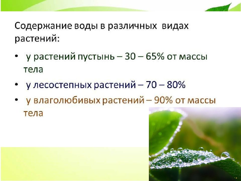 Презентация влияние экологических факторов на растения. Влияние экологических факторов на растения. Влияние экологических факторов на растения презентация.