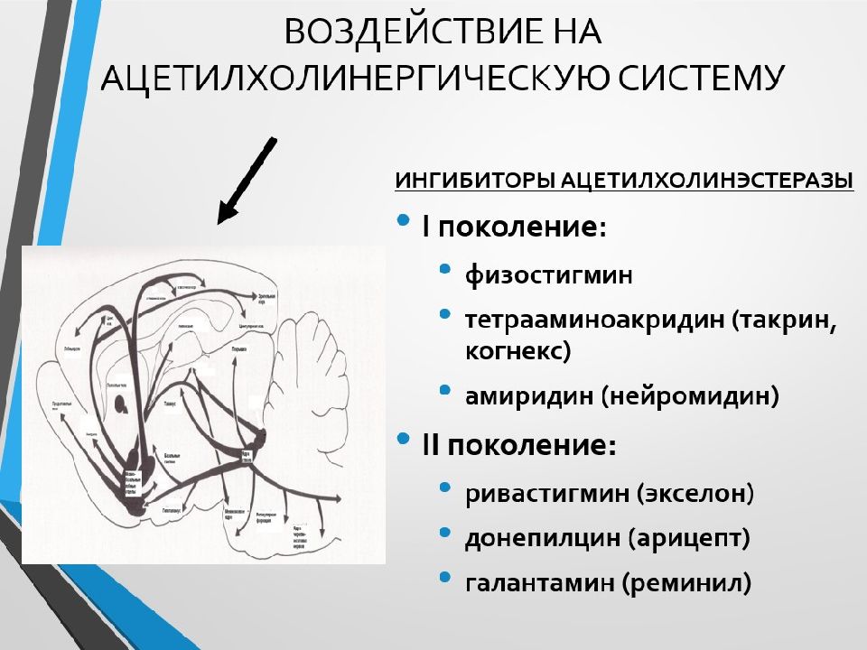 Сосудистый паркинсонизм симптомы. Ацетилхолинергическая система. Ингибиторы ацетилхолинэстеразы. Ацетилхолинэстеразы парахлормеркурибензоатом. Ацетилхолинергический синдром.