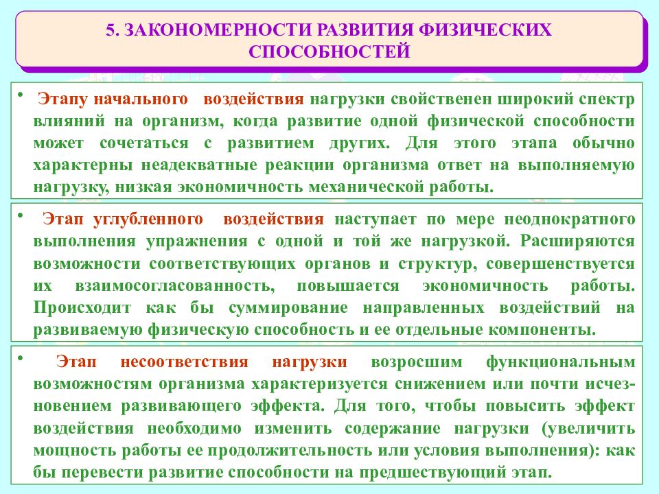 Процессы развития физических способностей. Развитие физических способностей. Закономерности способностей. Закономерности и принципы развития физических способностей. Этапы развития физических навыков.