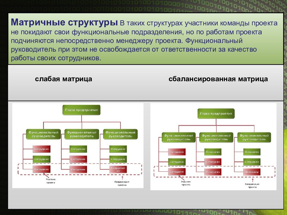 Структура участников. Структура участников проекта. Структуризация проекта. Модели структуризации проекта. Участники проекта. Иерархия участников.