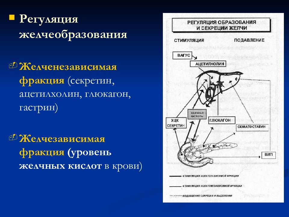 Нервно рефлекторный механизм. Механизмы желчеобразования и желчевыделения их регуляция физиология. Регуляция желчеобразования схема. Регуляция выделения желчи. Механизм регуляции образования желчи.