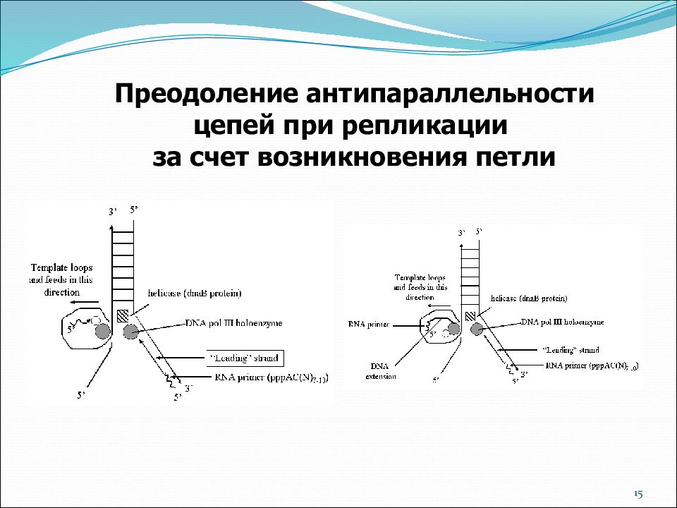 Тест репликации