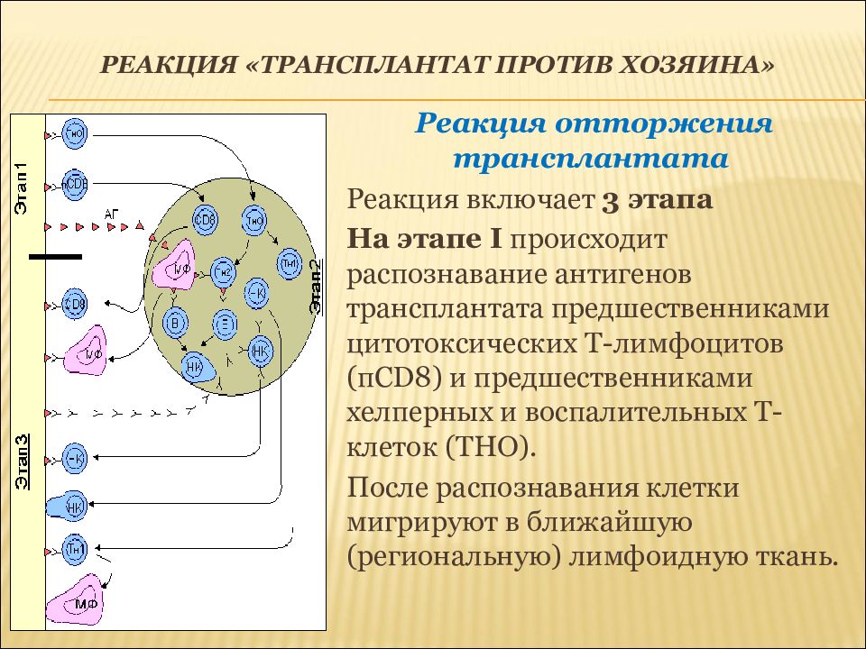 Хозяева реакции