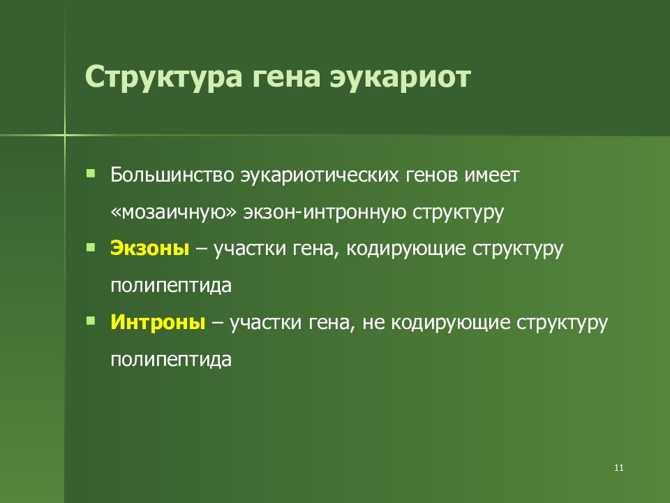 Структурные гены. Мозаичность структурных генов. Кодирующие участки Гена. Мозаичные гены строение. Теория мозаичного Гена.