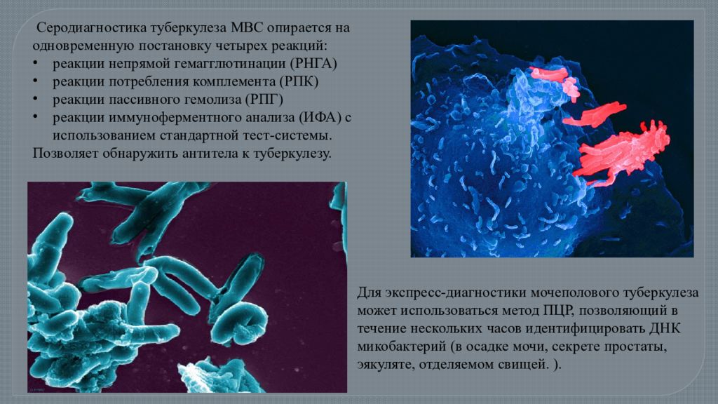 Микобактерии анализ. Серодиагностика туберкулеза. Серодиагностика туберкулеза в РНГА. Серологические реакции при туберкулезе. Серологическая реакция на туберкулёз.