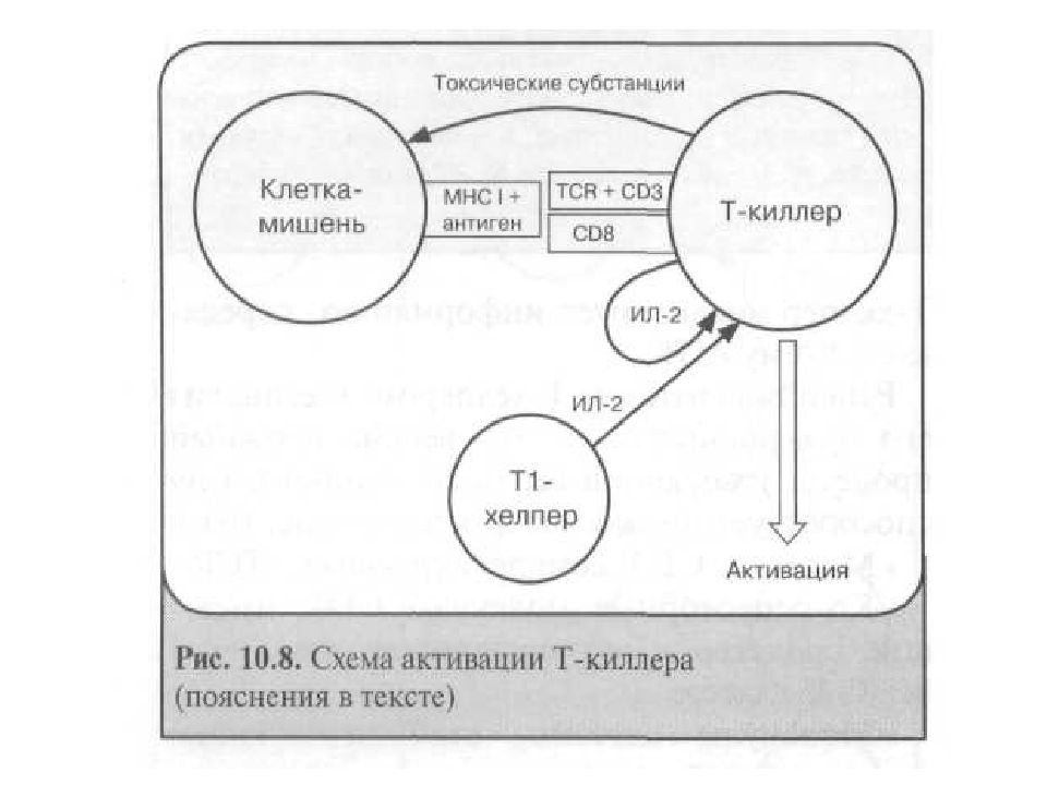 Система т карт