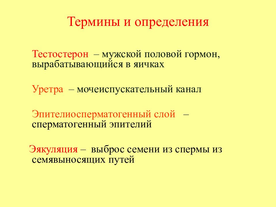 Термины мужчин. Эпителиосперматогенный слой. Сложные мужские термины. Мужское движение термины.