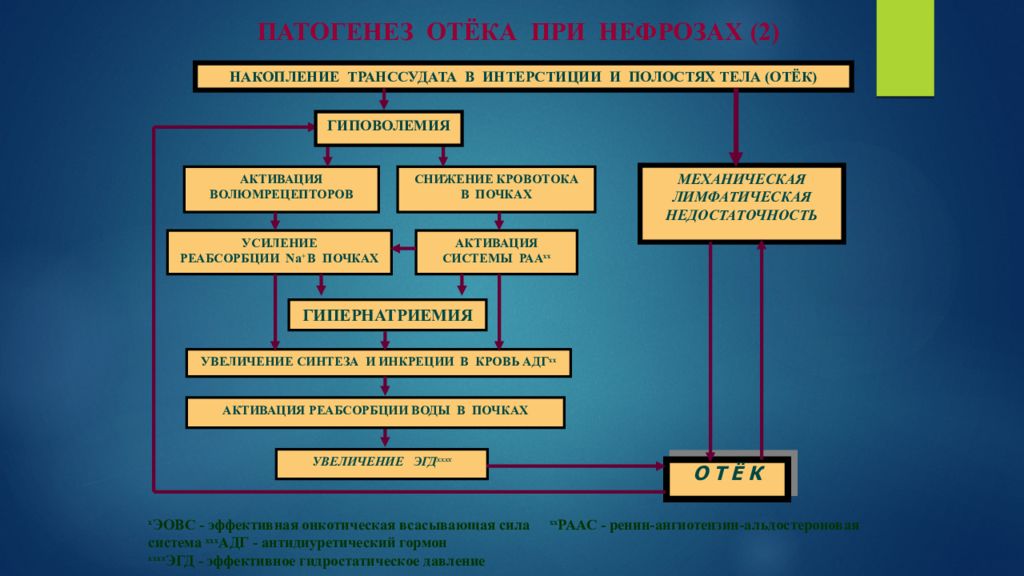 Патогенез отеков. Этиология отеков. Отеки патофизиология. Патогенез отеков патофизиология. Патогенез гидростатического отека.