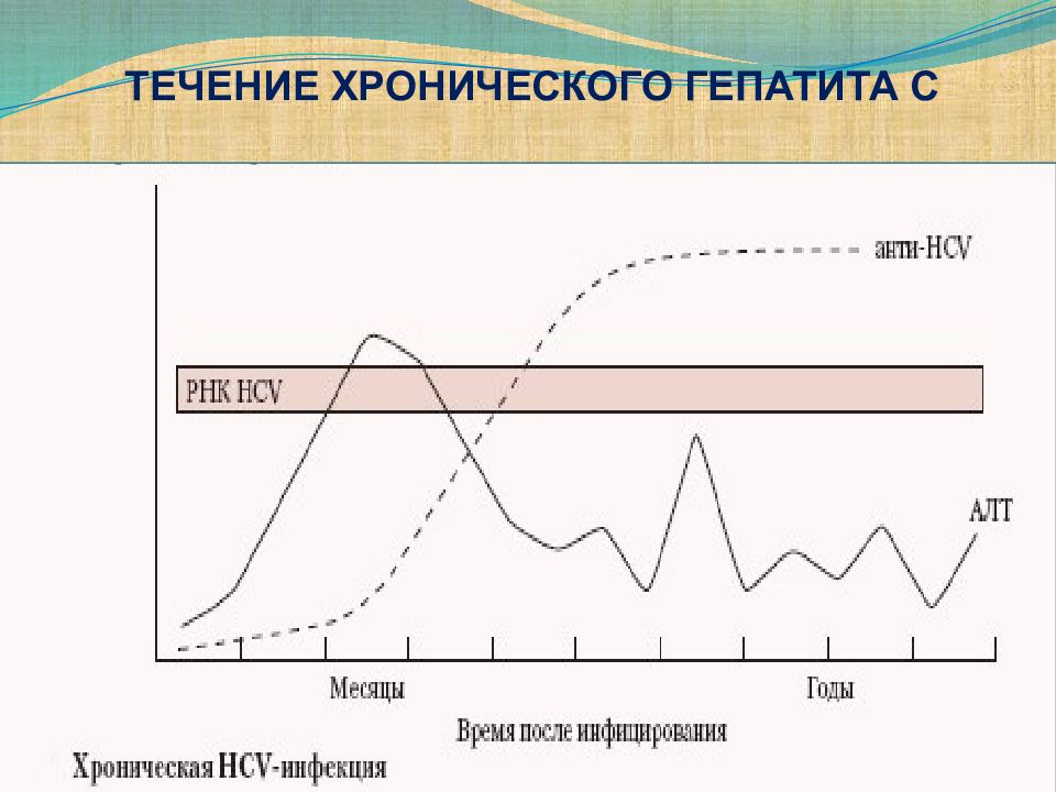 Хроническое течение. Течение хронического гепатита. Течение хронического гератит. Хронический вирусный гепатит с течение. Течение хронического гепатита у детей.