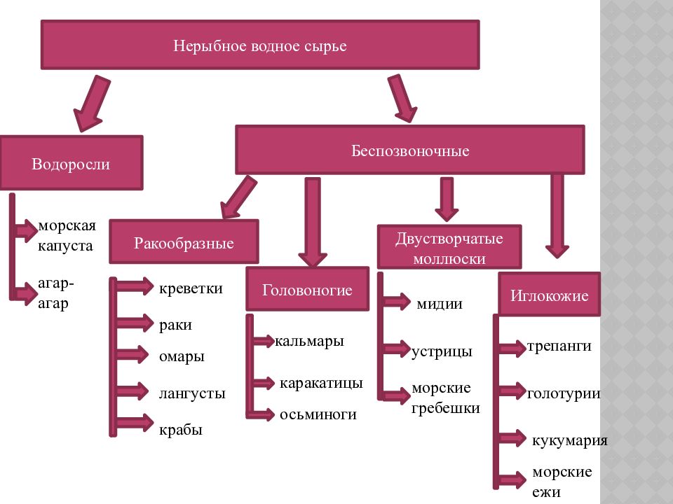 Нерыбное водное сырье