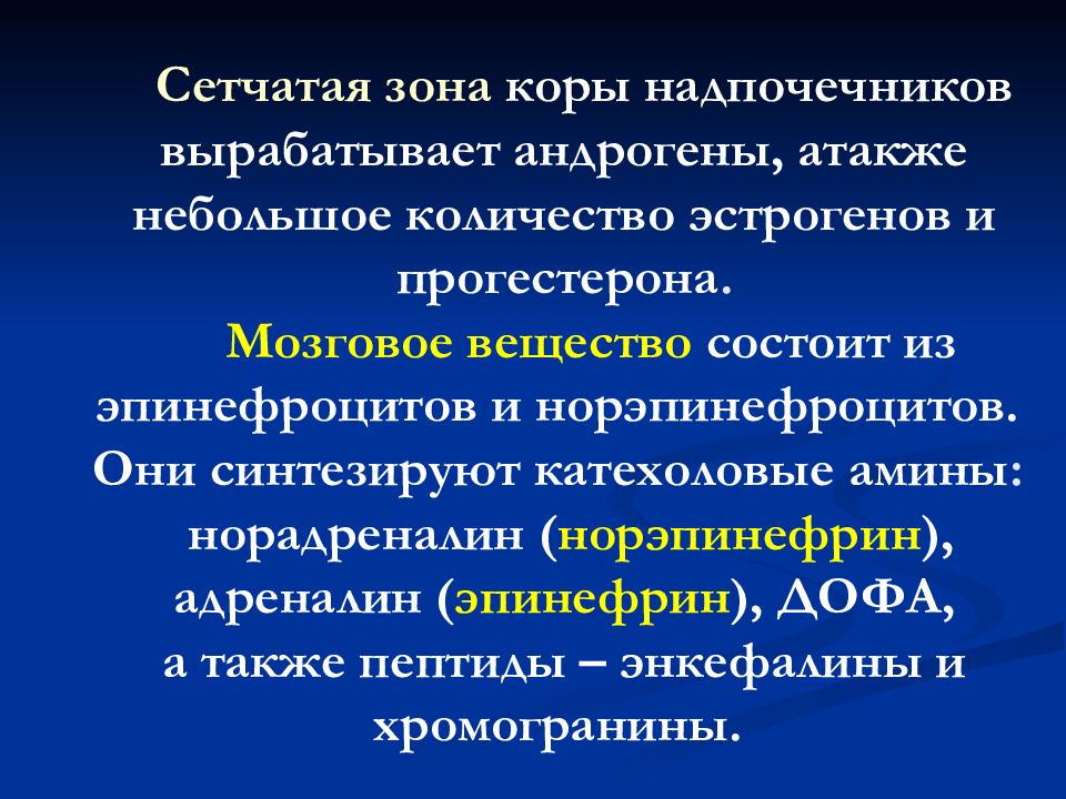 Сетчатая зона надпочечника вырабатывает