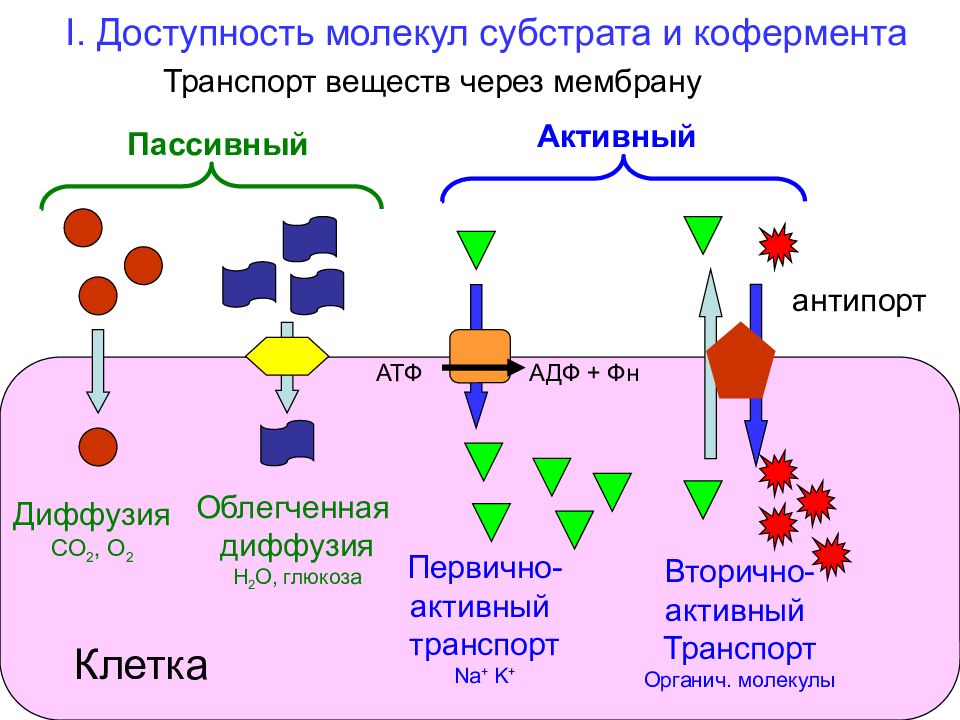 Схема мембранный транспорт