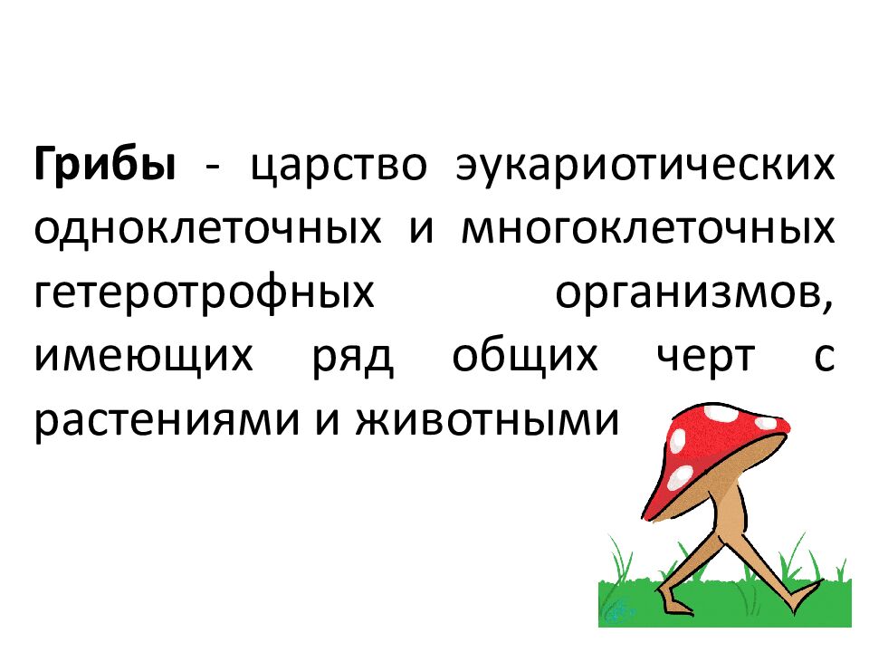 Грибы - царство эукариотических одноклеточных и многоклеточных гетеротрофных организмов, имеющих ряд общих черт с растениями и животными