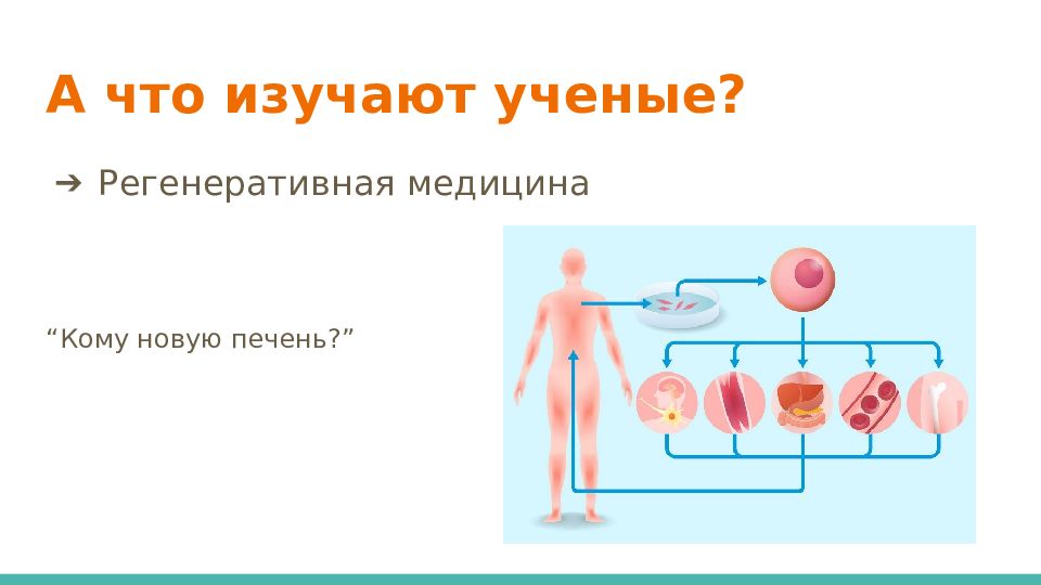 Регенеративная медицина презентация