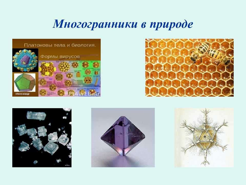 Правильные многогранники в природе презентация