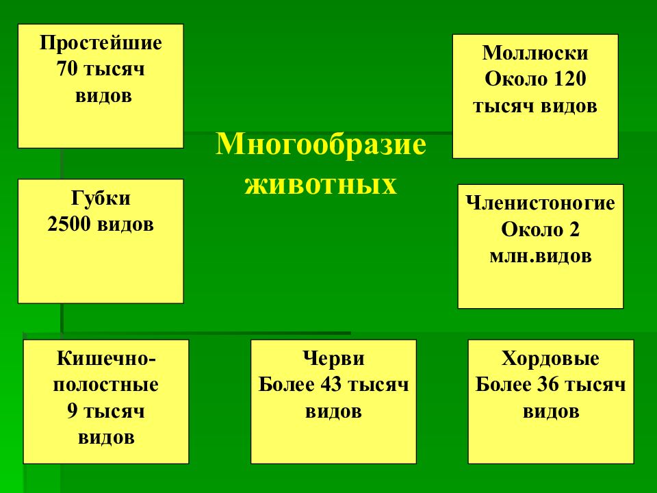 Презентация зоология наука о животных