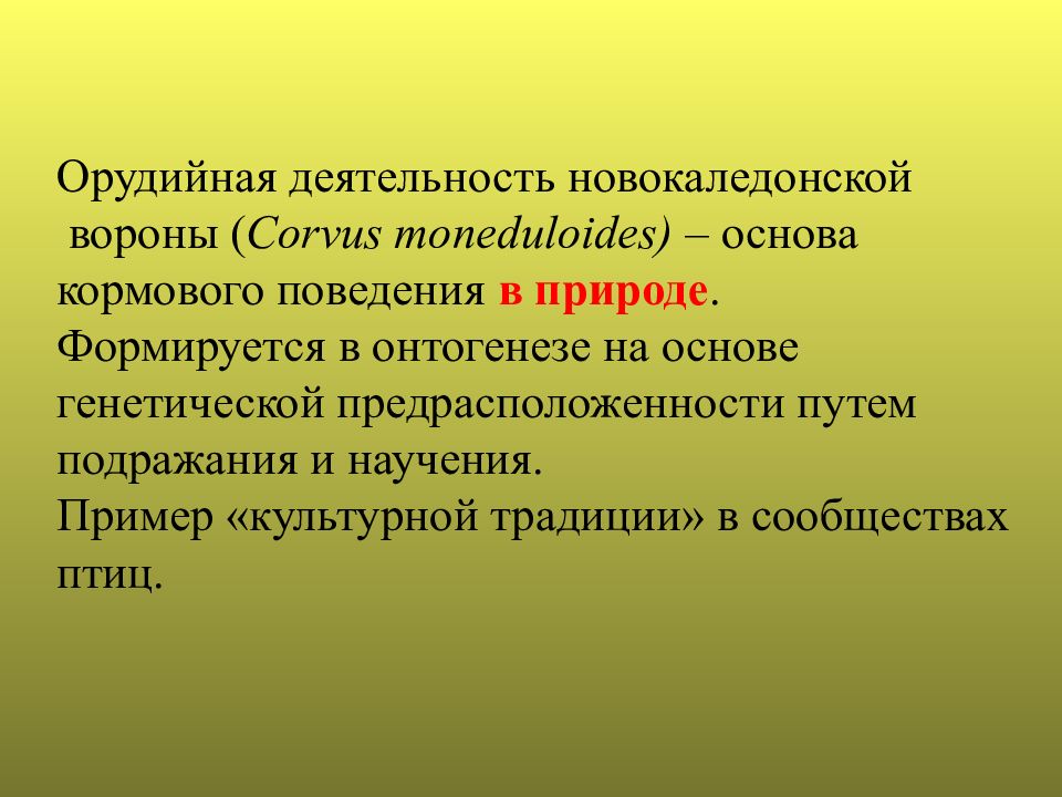 Формируется в природе. Орудийная деятельность человека. Орудийная деятельность животных. Рассудочная деятельность у птиц. Орудийная деятельность животных примеры.