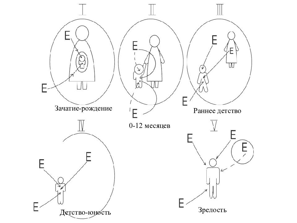 Психогенетика личности презентация