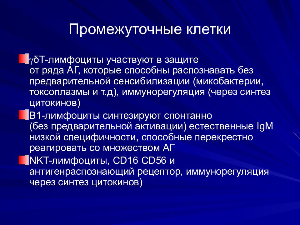 Промежуточно клеточный. Промежуточные клетки. Промежуточные клетки функции. Особенности промежуточной клетки. Промежуточная клетка значение.