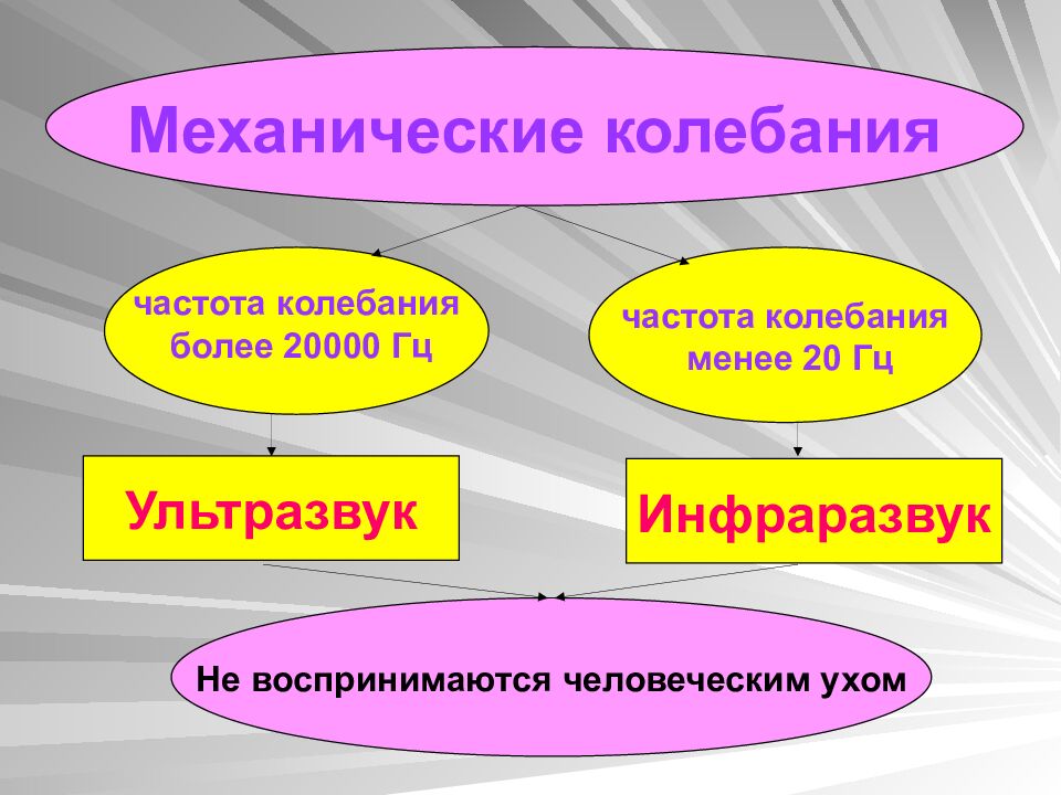 Физика 9 класс Ультразвук и инфразвук