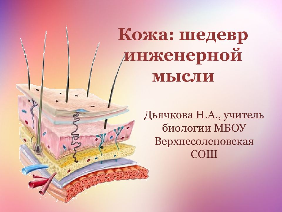 Кожа: шедевр инженерной мысли