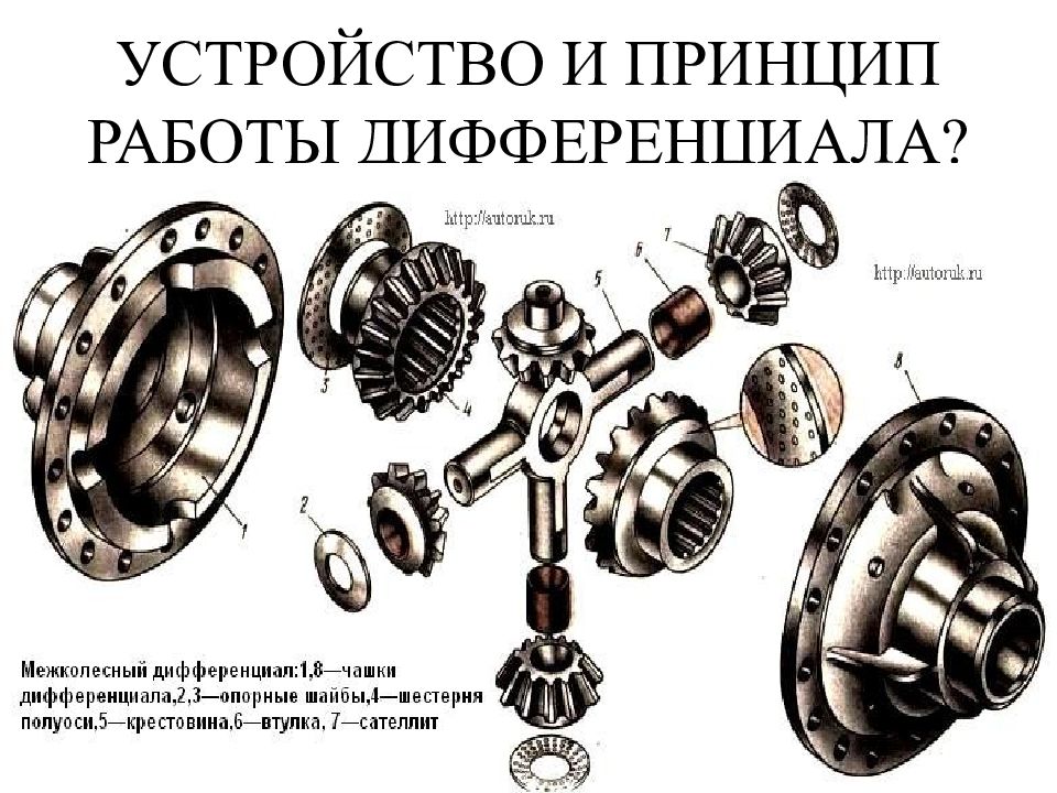 Схема главной передачи и дифференциала