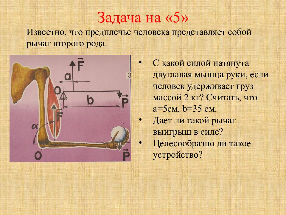 Решение задач момент силы 7 класс презентация