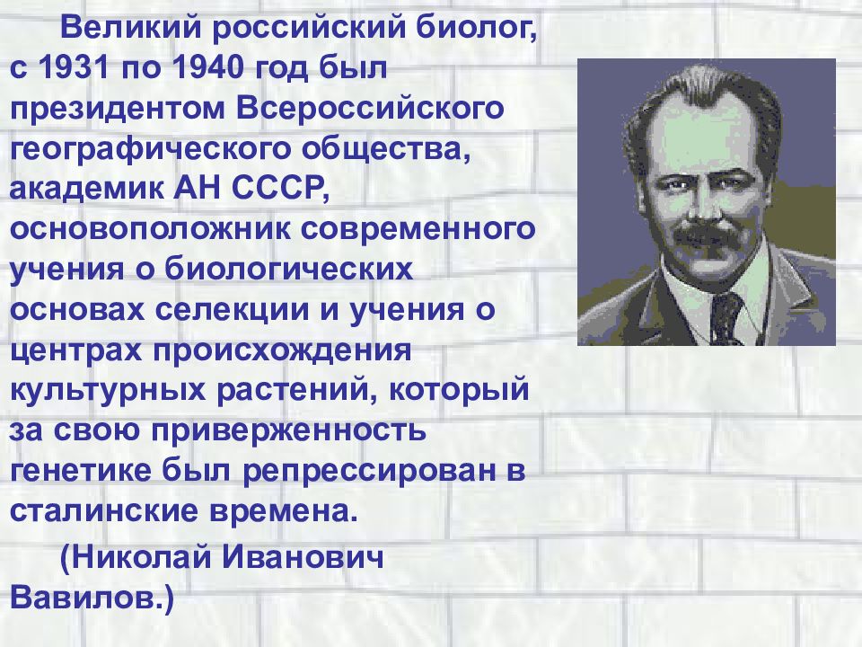 Их достижения. Доклад про ученого биолога. Выдающиеся ученые биологии. Отечественные ученые биологи. Известные русские ученые биологи.