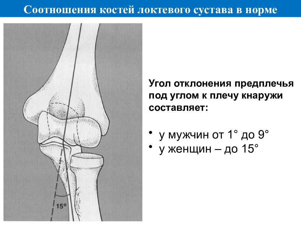 Строение плече локтевого сустава человека. Локтевой сустав человека | Анатомия Локтевого сустава, строение. Анатомия плечевого сустава, классификация повреждений и заболеваний. Локтевой сустав по форме суставной поверхности является