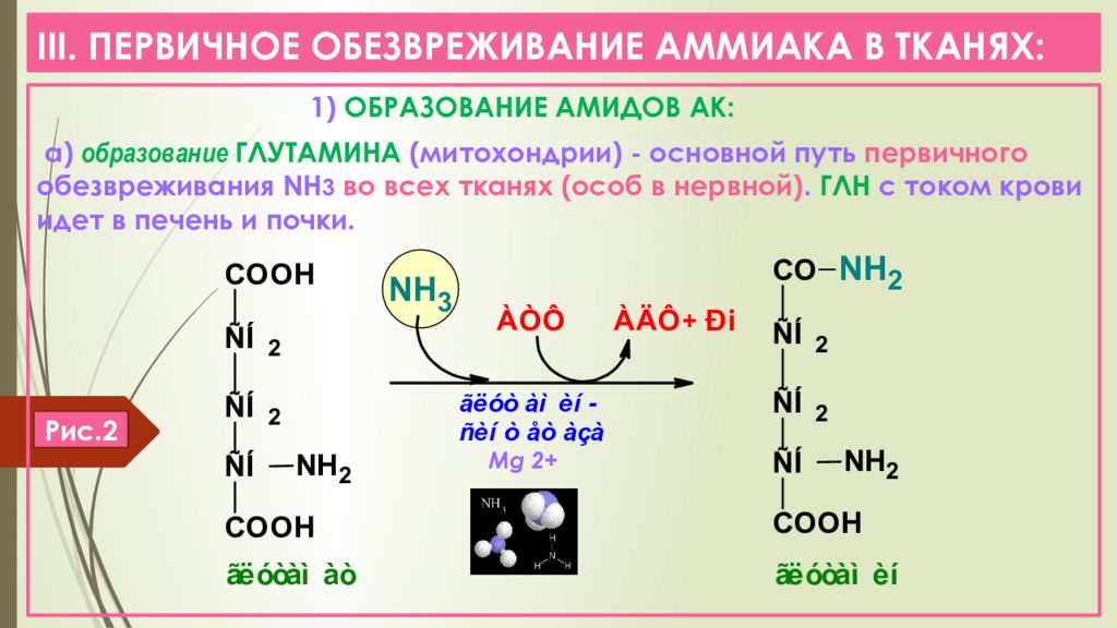 Временное обезвреживание аммиака виды