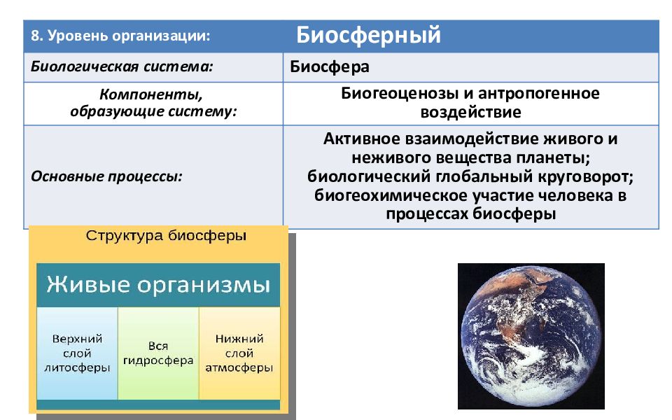 Система образующих. Компоненты биосферы. Элементы образующие систему биосферного уровня. Антропогенное воздействие на компоненты биосферы. Компонент образующие сисьемц.