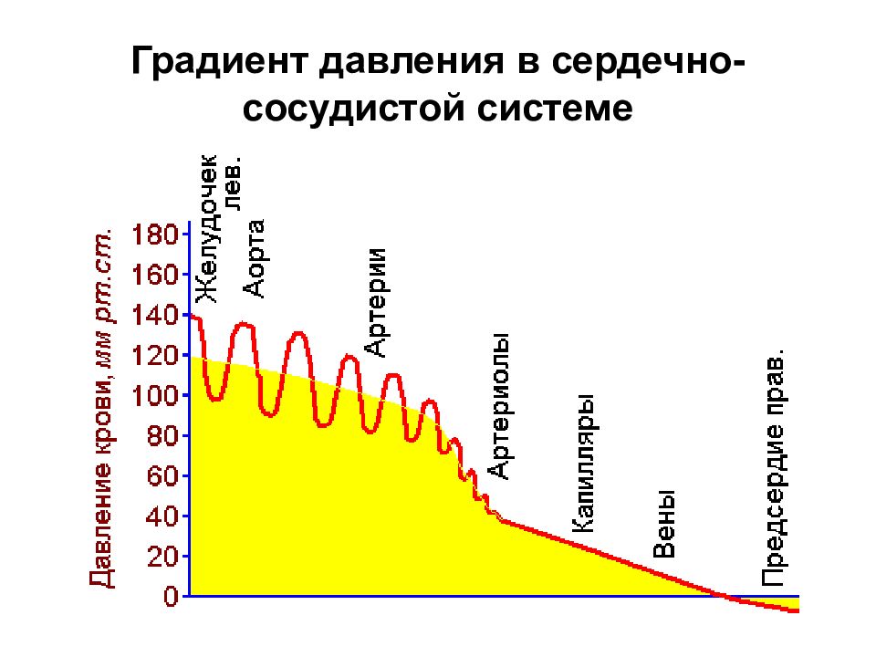 Градиент давления это