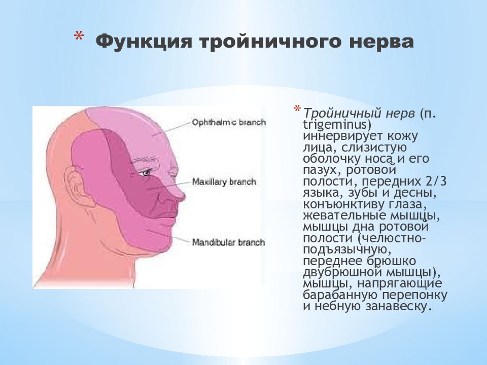 Симптомы воспаления тройничного нерва на лице. Тройничный нерв на лице. Невралгия тройничного нерва презентация. Воспаление третичного нерва. Поражение ветвей тройничного нерва.