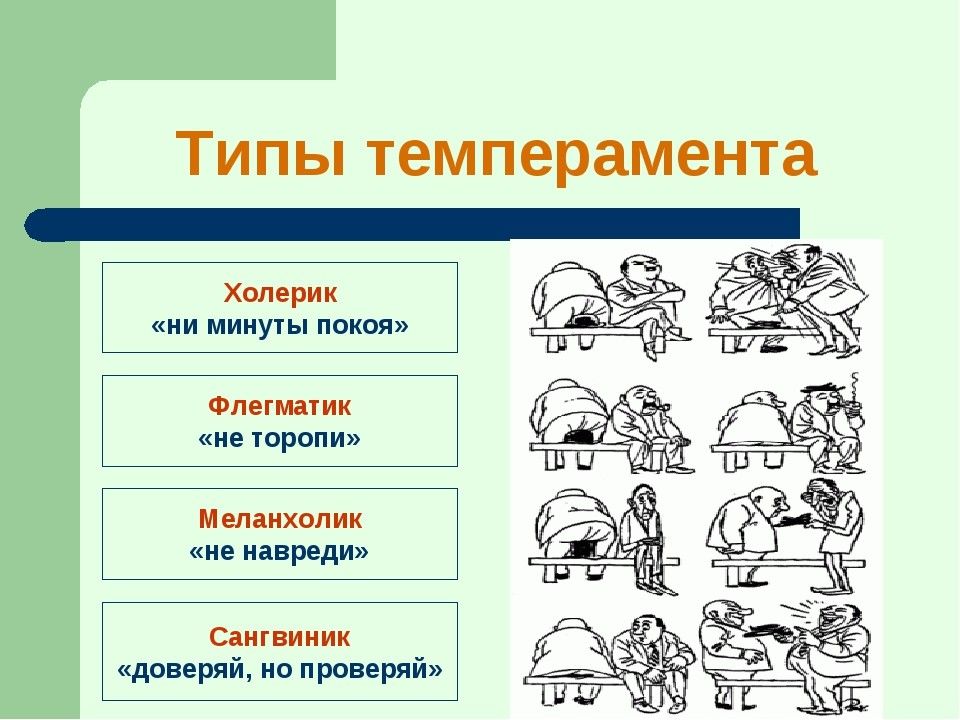 Презентация по типам темперамента